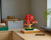 עץ בונסאי אדר אדום יפני , 10348, Botanicals, לגו, lego